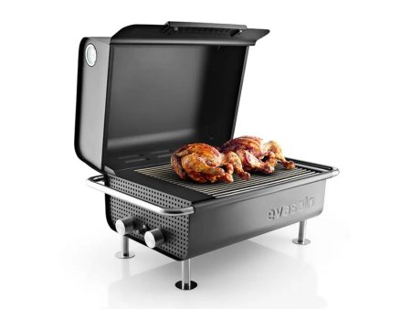 Eva Solo Box | Compacte Gas Barbecue For Sale