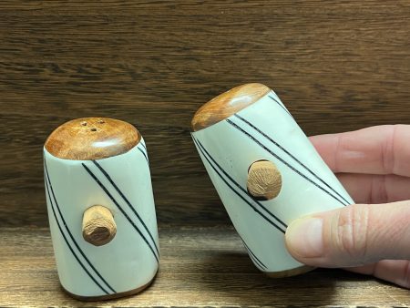 Salt & Pepper Shakers - Bone For Cheap