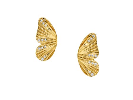 Butterfly Wing Earrings For Discount