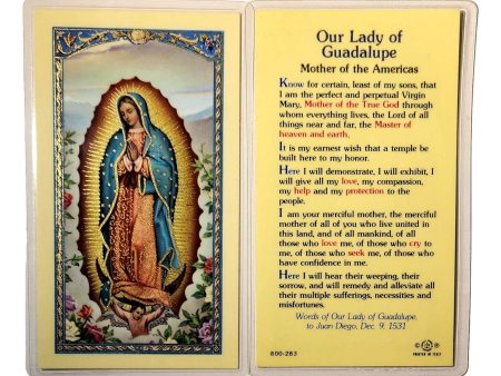 Laminated Prayer Card – Our Lady of Guadalupe  Mother of the Americas  For Discount