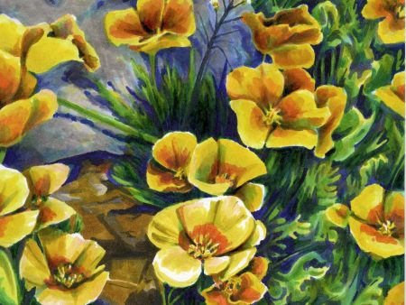 Original Mountain Poppy Drawing by Susan Barnum – Photo Print, Matted & Ready to Frame Online Sale